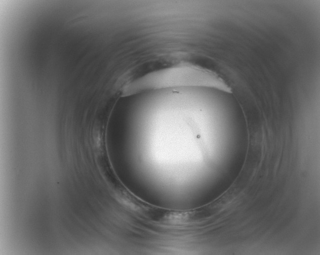 X0000067330084200604071336