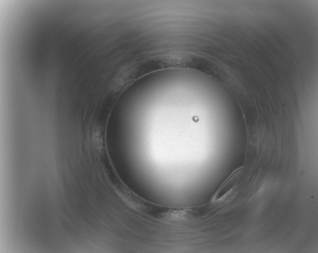 X0000067330086200604071336