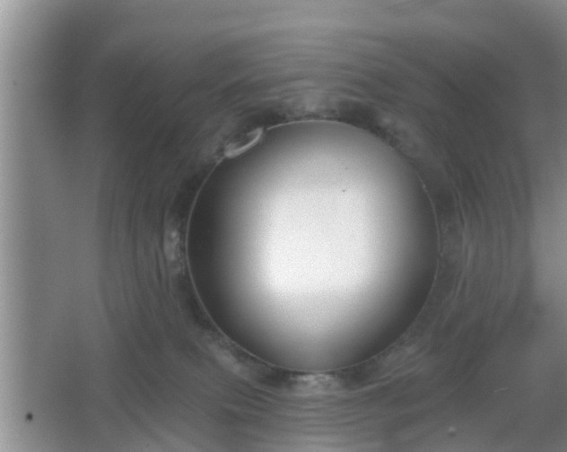 X0000067330087200604071336