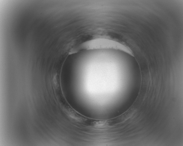 X0000067330088200604071336