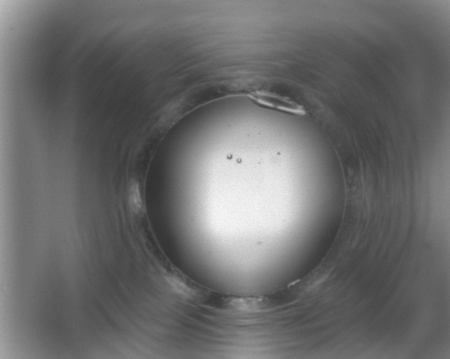 X0000067330089200604071336