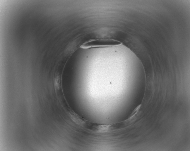 X0000067330090200604071336