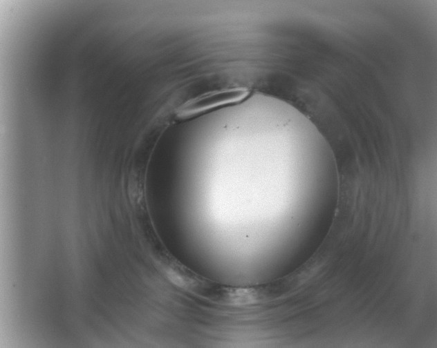 X0000067330091200604071336