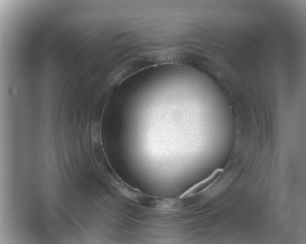 X0000067330096200604071336