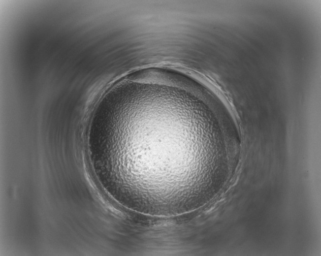 X0000067330097200604071336