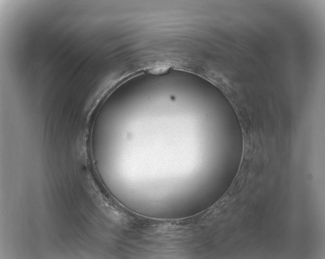 X0000067330098200604071336