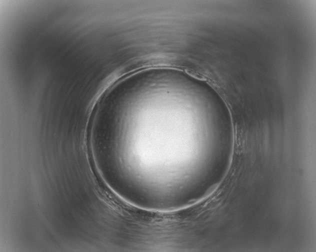 X0000067330099200604071336