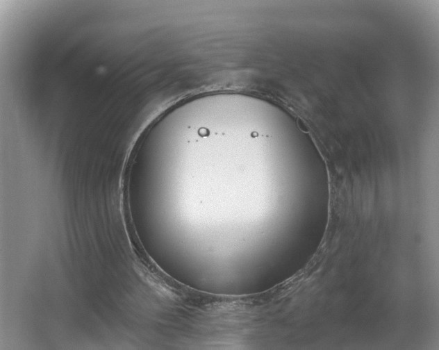 X0000067330100200604071336