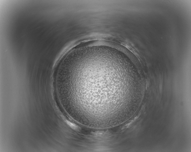 X0000067330101200604071336