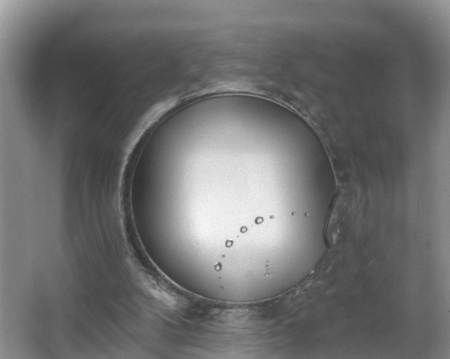 X0000067330104200604071335