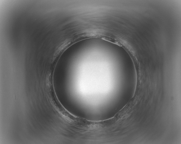 X0000067330105200604071335