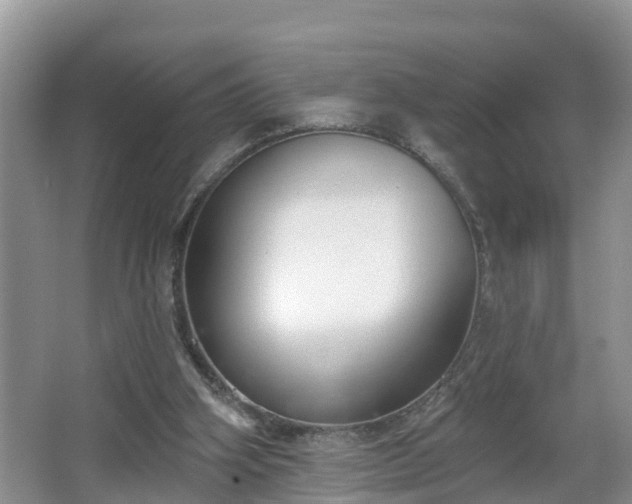 X0000067330106200604071335