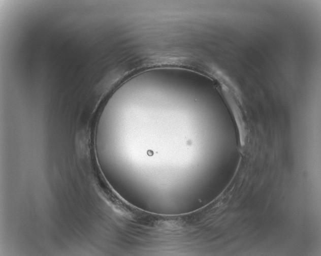 X0000067330107200604071335