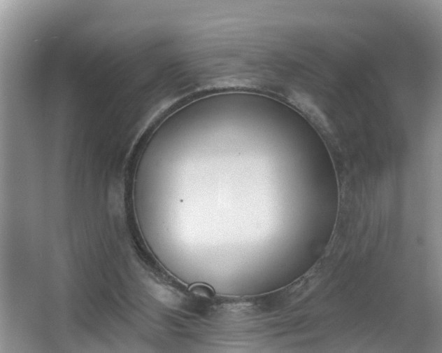 X0000067330108200604071335