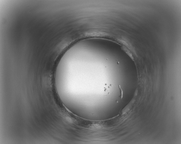 X0000067330111200604071335