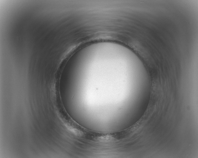 X0000067330112200604071335