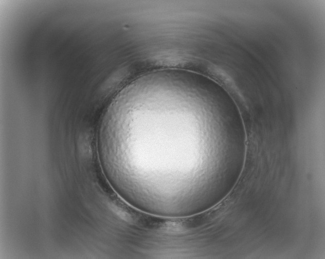 X0000067330114200604071335