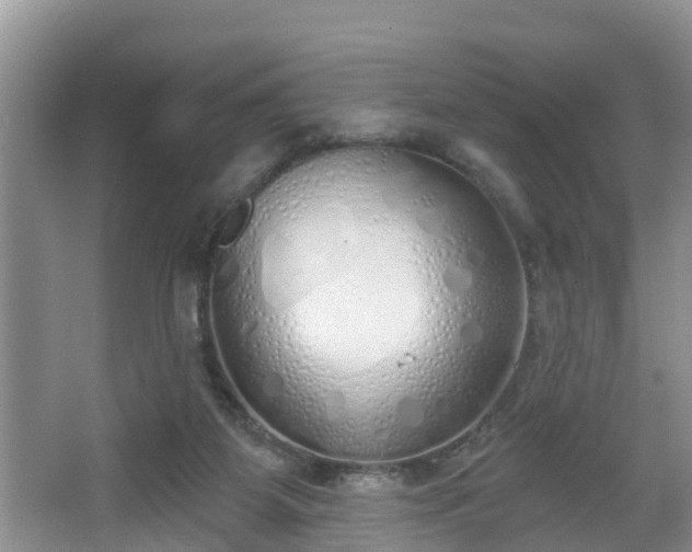 X0000067330115200604071335