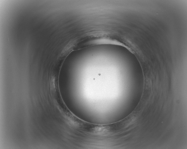 X0000067330117200604071335