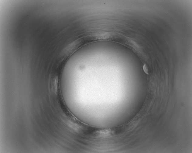 X0000067330118200604071335