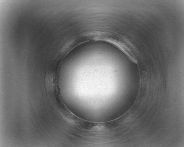 X0000067330119200604071335