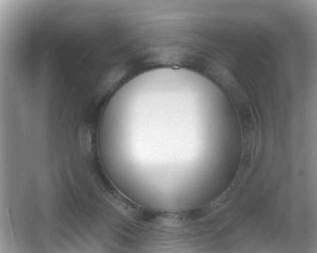 X0000067330120200604071335