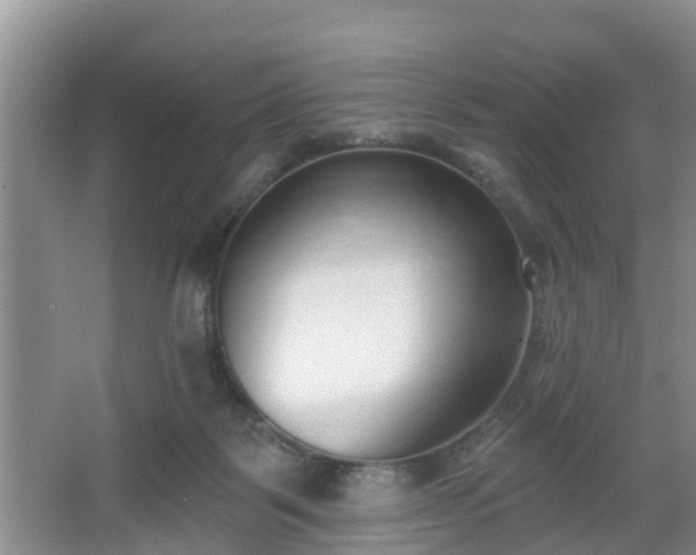 X0000067330123200604071335