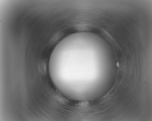 X0000067330124200604071335