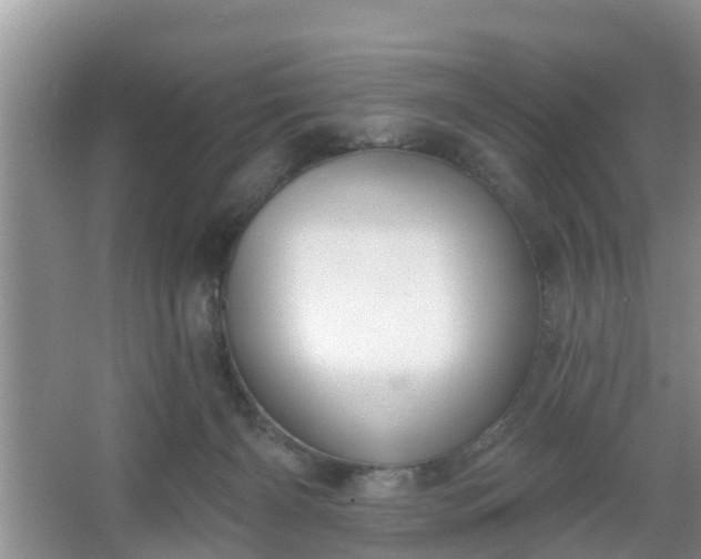 X0000067330126200604071335