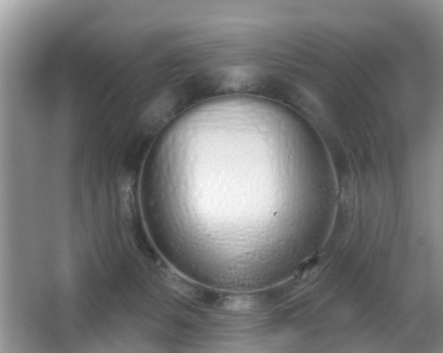 X0000067330127200604071335