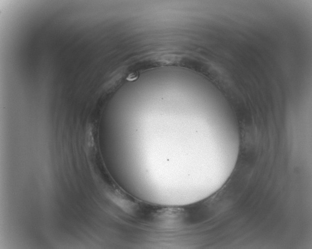 X0000067330128200604071335