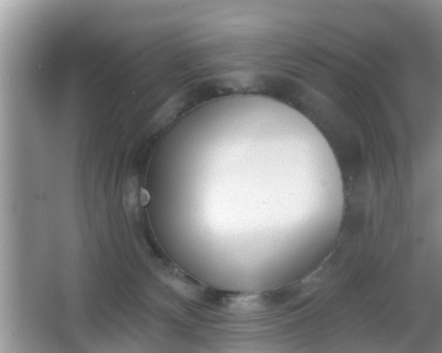 X0000067330132200604071335