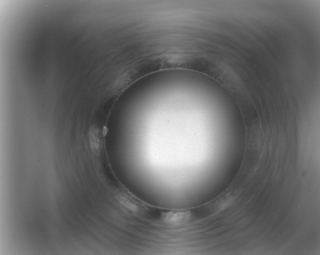 X0000067330135200604071335