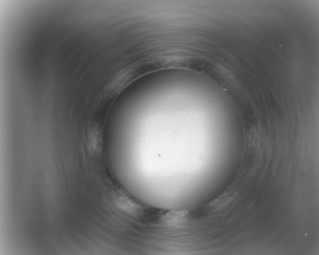 X0000067330138200604071335