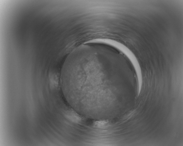 X0000067330139200604071335