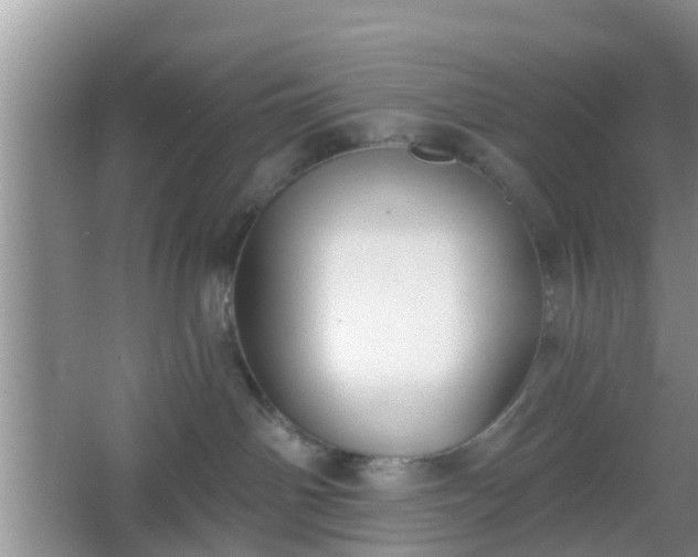 X0000067330142200604071335