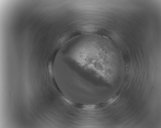 X0000067330143200604071335