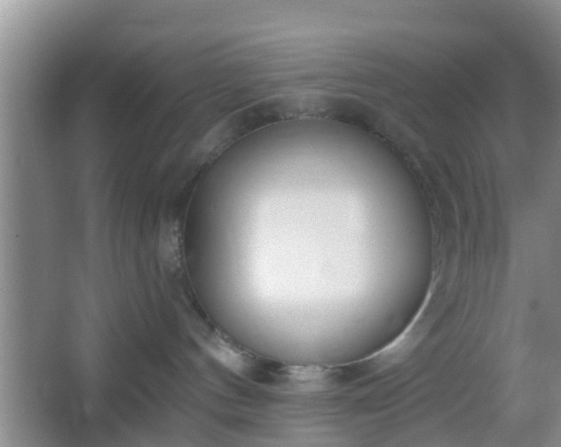 X0000067330144200604071335