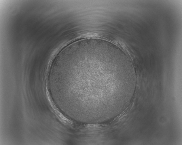 X0000067330145200604071334