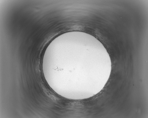 X0000067330146200604071334