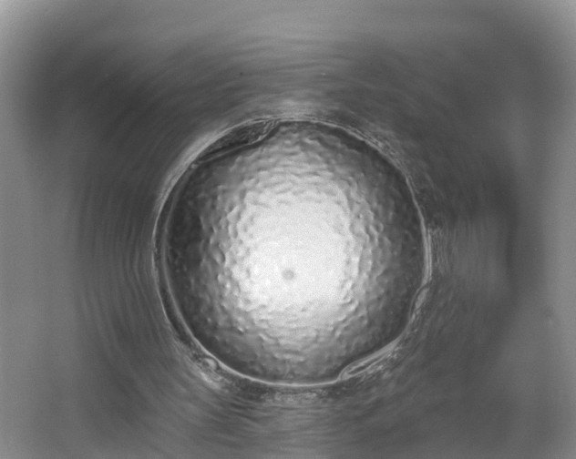 X0000067330147200604071334