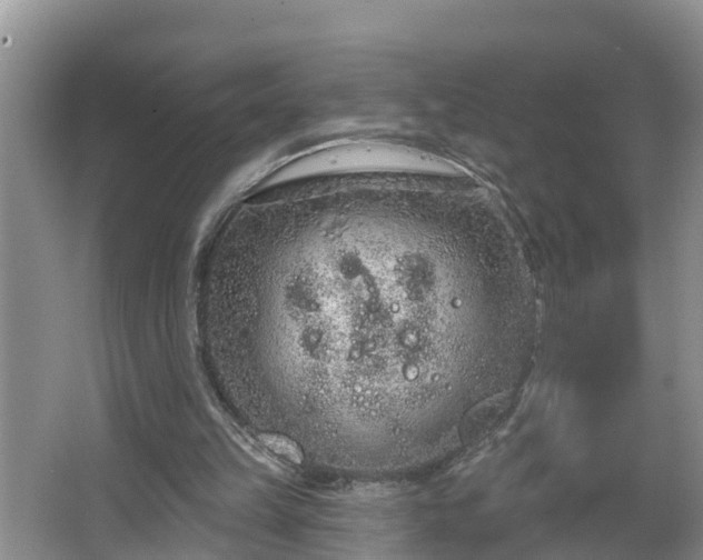 X0000067330149200604071334