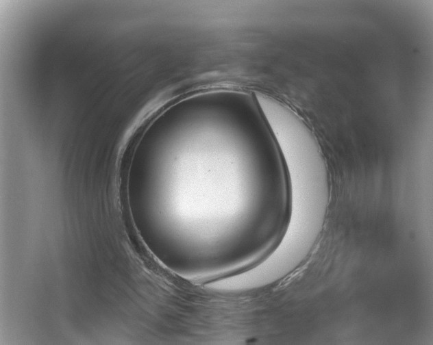 X0000067330150200604071334