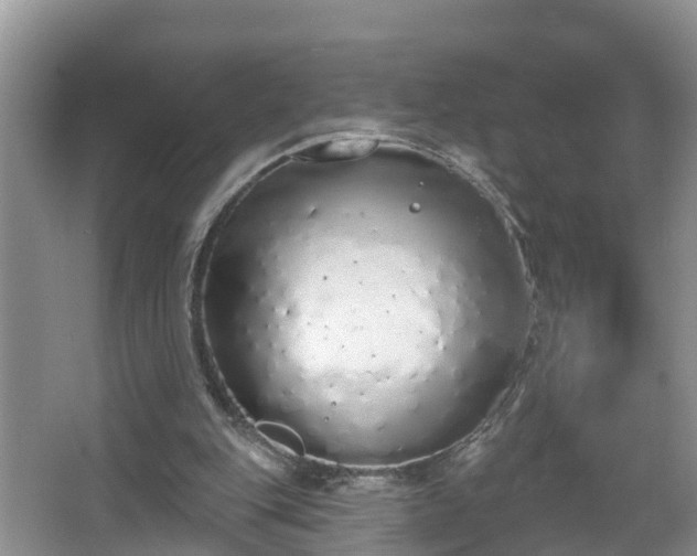 X0000067330151200604071334