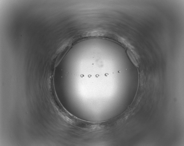 X0000067330153200604071334