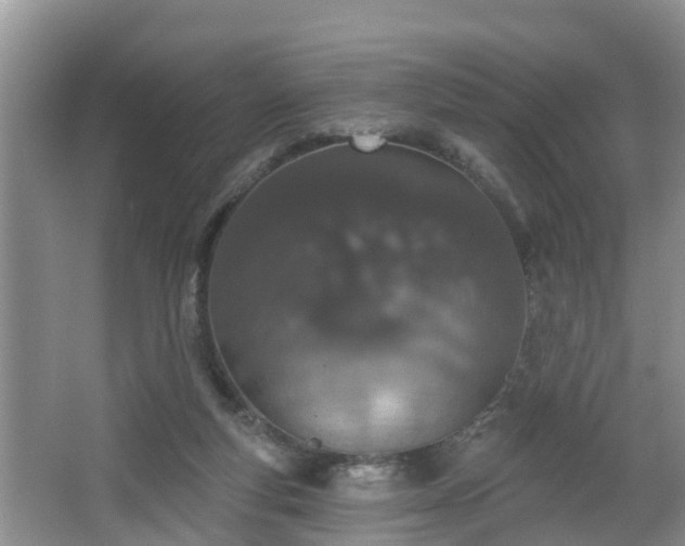 X0000067330163200604071334