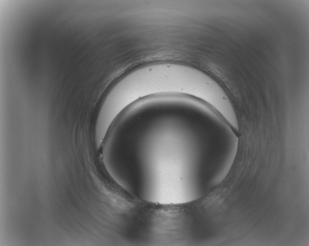 X0000067330164200604071334