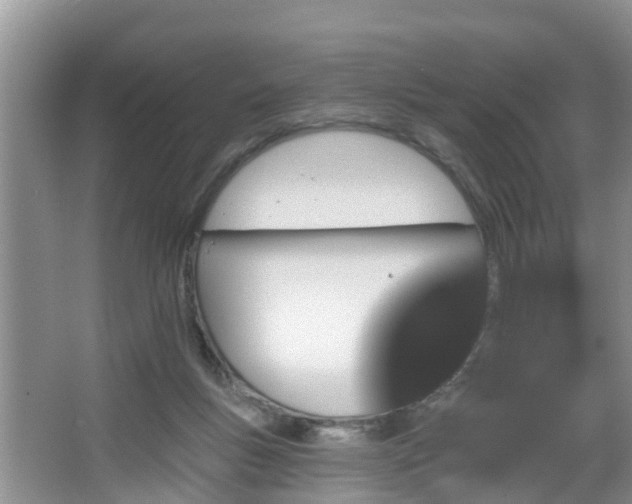 X0000067330167200604071334