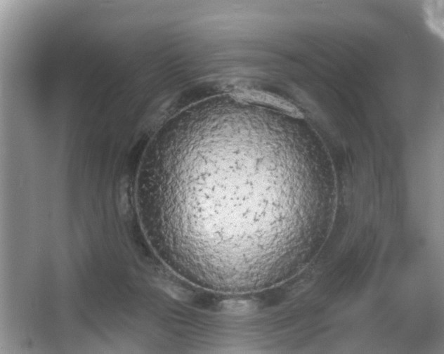 X0000067330169200604071334