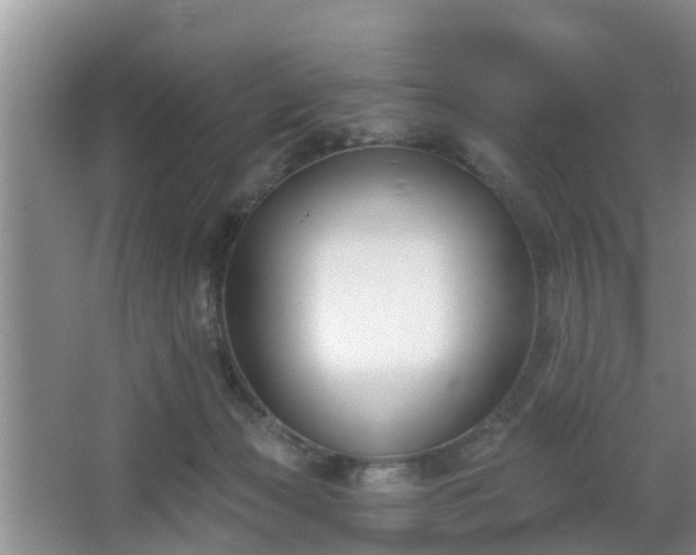 X0000067330173200604071334